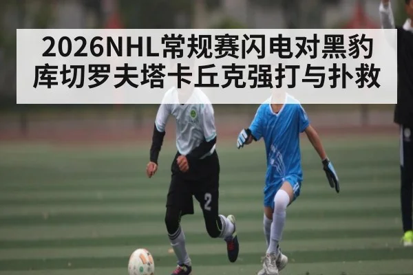 2026NHL常规赛闪电对黑豹库切罗夫塔卡丘克强打与扑救